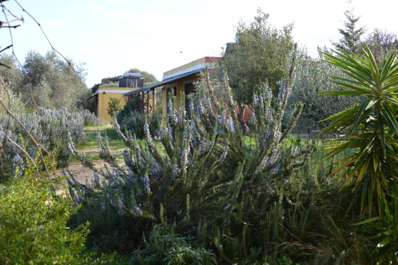 B&B Casa Per Ferie Villaggiocarovana Castiadas Exteriér fotografie