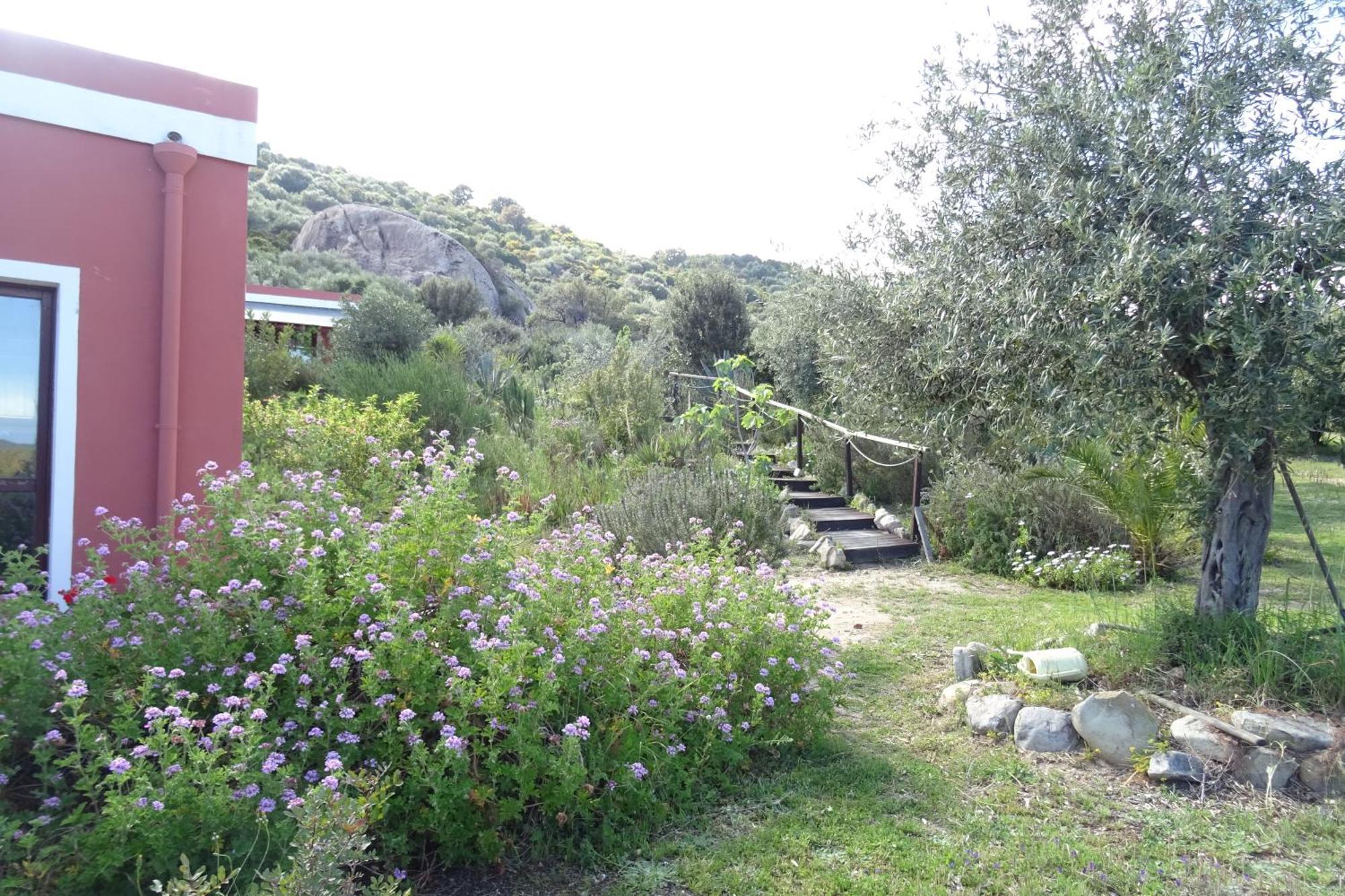 B&B Casa Per Ferie Villaggiocarovana Castiadas Exteriér fotografie