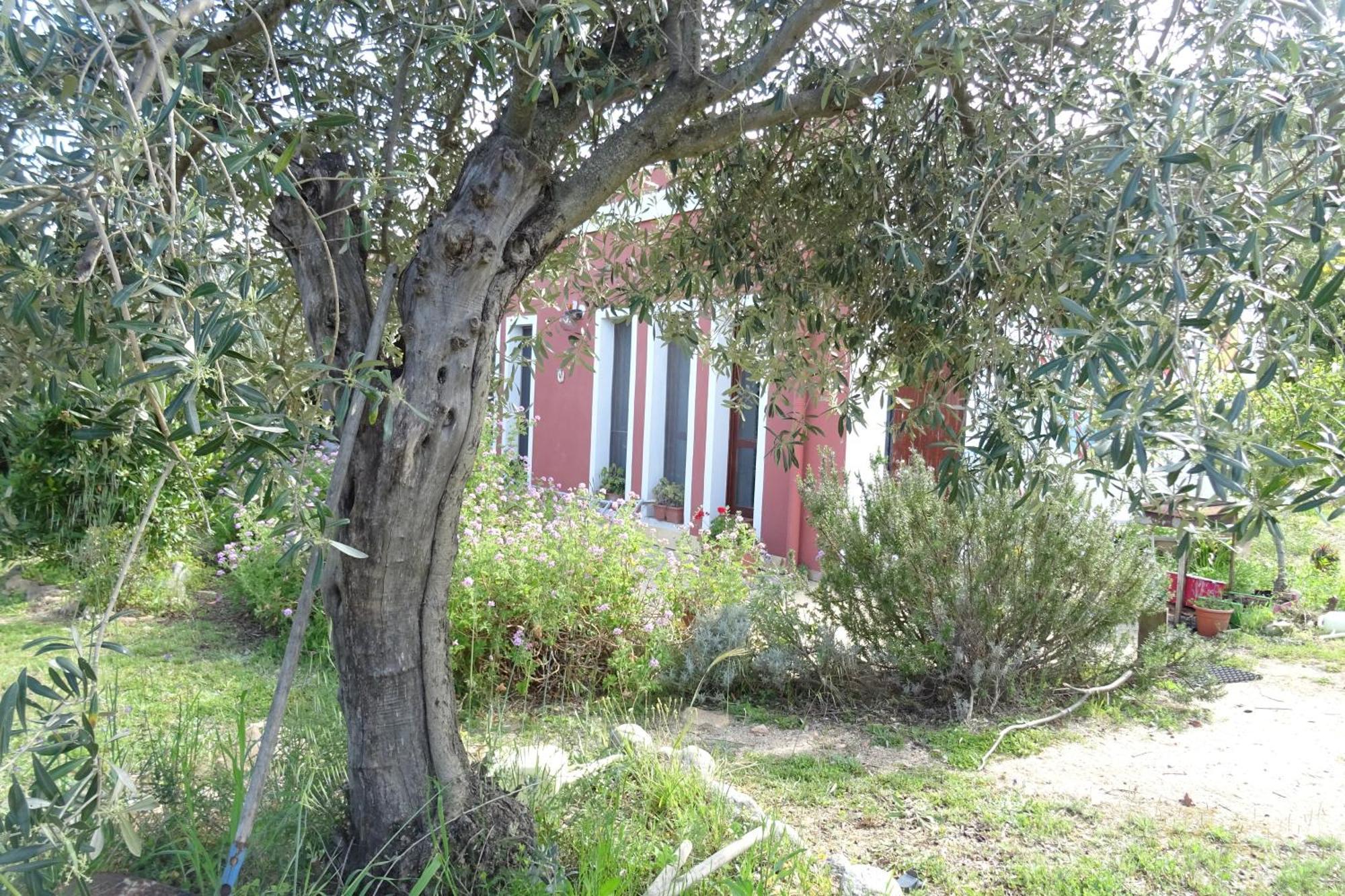 B&B Casa Per Ferie Villaggiocarovana Castiadas Exteriér fotografie