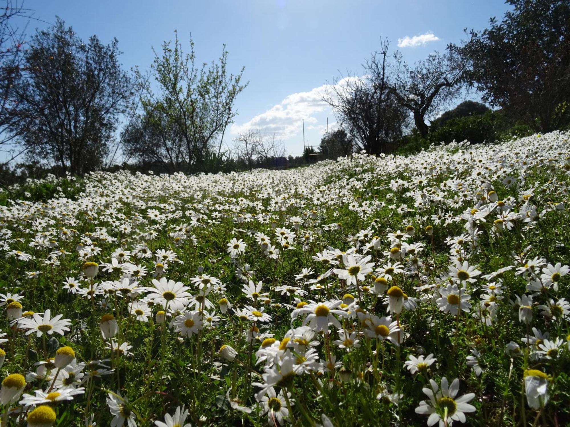 B&B Casa Per Ferie Villaggiocarovana Castiadas Exteriér fotografie